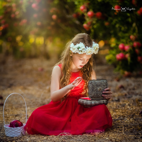 צלם השבוע - מאריוס ויגדר