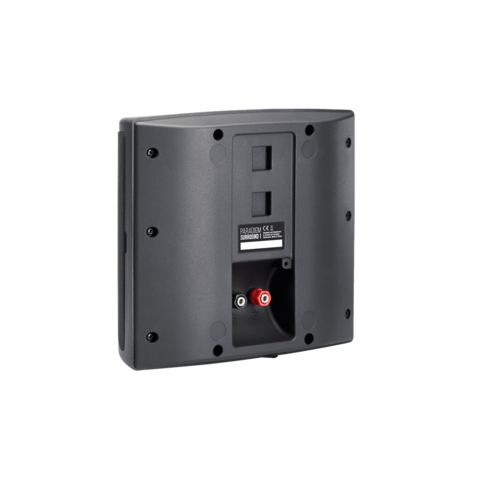 Paradigm Surround 1