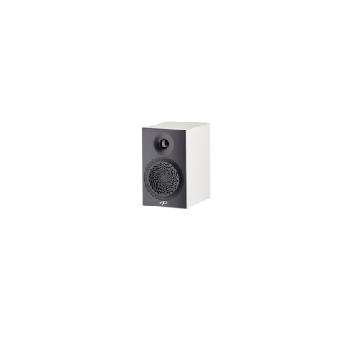 Paradigm Premier 100