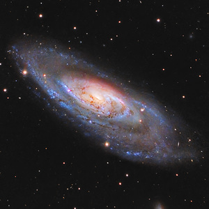 צלם השבוע - מיכאל לב