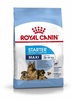רויאל קנין Royal canin לכלב-מקסי סטרטר-15 ק"ג