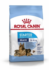 רויאל קנין Royal canin לכלב-מקסי סטרטר-15 ק"ג