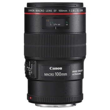 עדשה Canon EF 100mm f/2.8L Macro IS USM יד שניה / מתצוגה 