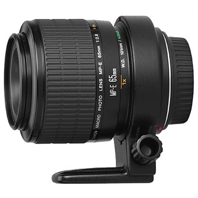 עדשה Canon MP-E65mm f/2.8 1-5 x Macro יבואן רשמי