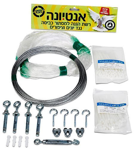 קיש רשת יונים 