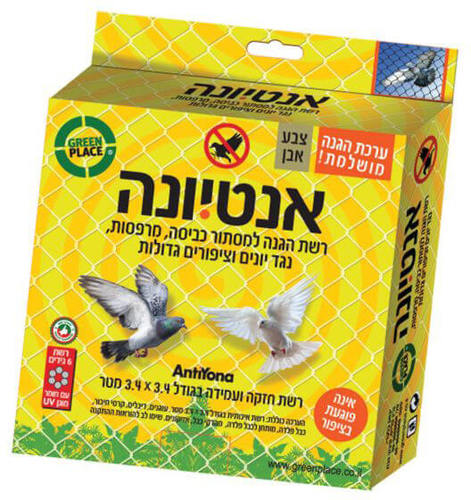 קיש רשת יונים 