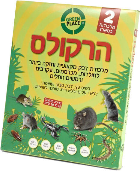 זוג מלכודות דבק לעכברים חזקות הרקולקס