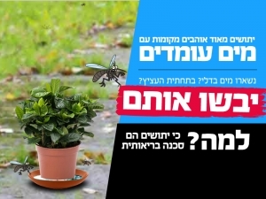 קטלן יתושים חשמלי הוריקן הום Home