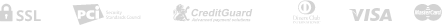 payment_icon