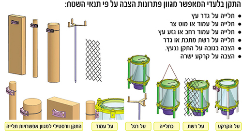 מפלצת הזבובים - מלכודת הזבובים המתקדמת בעולם Green Place