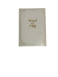 הגדת פסח מהודרת 