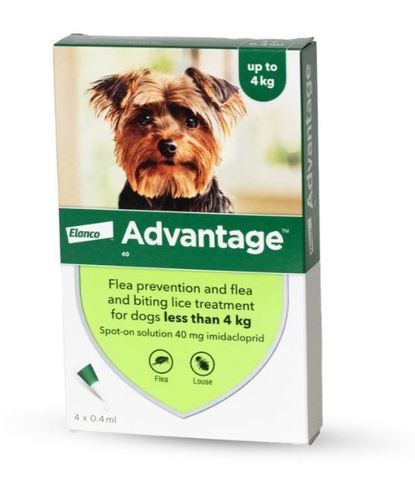 Advantage טיפות נגד פרעושים - טיפול בפרעושים וקרציות לכלבים
