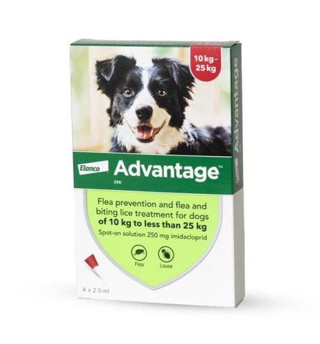 Advantage טיפות נגד פרעושים - טיפול בפרעושים וקרציות לכלבים