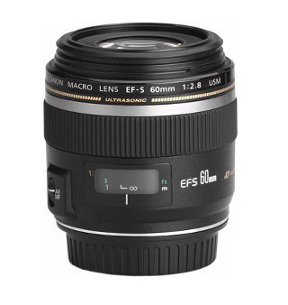 Canon EF-S 60mm f/2.8 Macro