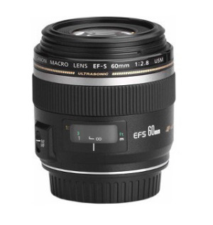 Canon EF-S 60mm f/2.8 Macro