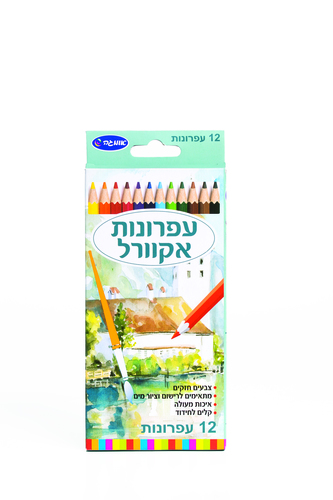 עפרונות 12 אקוורל