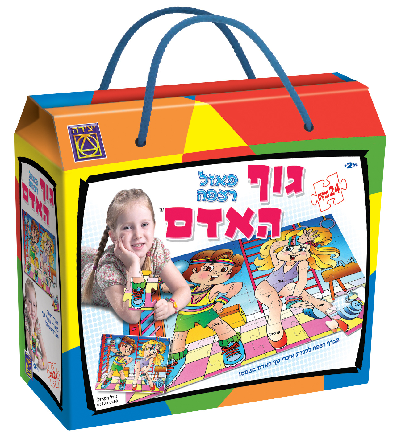 גוף האדם