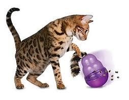 קונג' וובלר לחתול KONG WOBBLER
