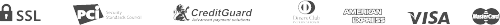 payment_icon