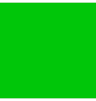 רקע בד BRILLIANT 6X3 ירוק