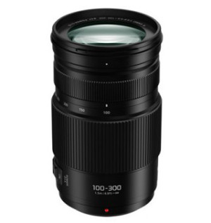 Panasonic Lumix G Vario 100-300mm f/4-5.6 II POWER O.I.S