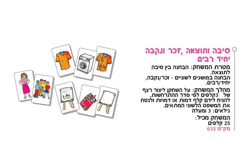 סיבה ותוצאה, זכר ונקבה , יחיד רבים