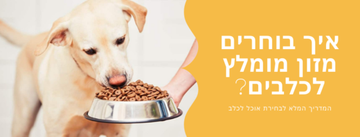 בחירת סוג המזון המומלץ לכלב שלכם
