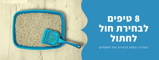 8 טיפים לבחירת חול לחתולים