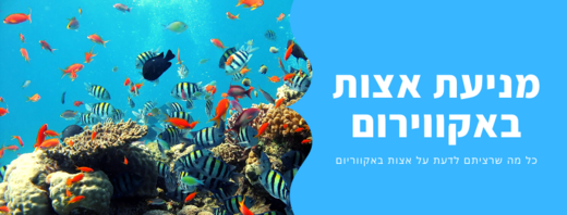 על אצות באקווריום צמחיה ומניעתן
