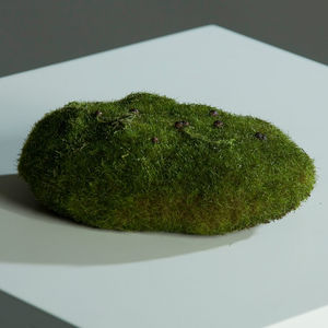 מילוי ספוגי לעציץ קטן MOSS SPONGE