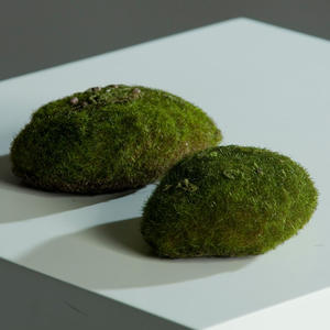 מילוי ספוגי לעציץ גדול MOSS SPONGE