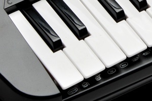 אורגנית 4 אוקטבות Kurzweil KP30