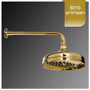 זרוע+ראש מקלחת ענתיקה