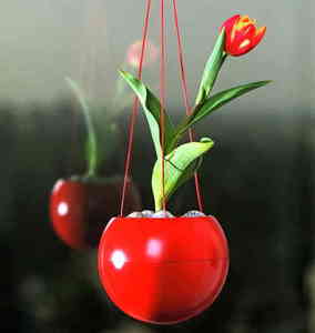 אדנית פלסטיק כדורית GREENBALL