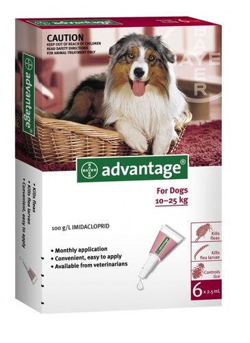 Advantage טיפות - טיפול בפרעושים וקרציות לכלבים