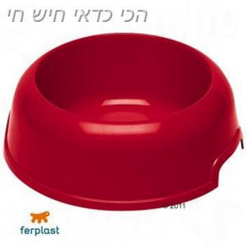 צלחת פלסטיק לאוכל לכלב קטן