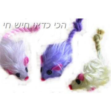 עכבר משחק לחתולים