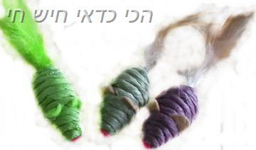 משחק לחתול עכבר עם זנב