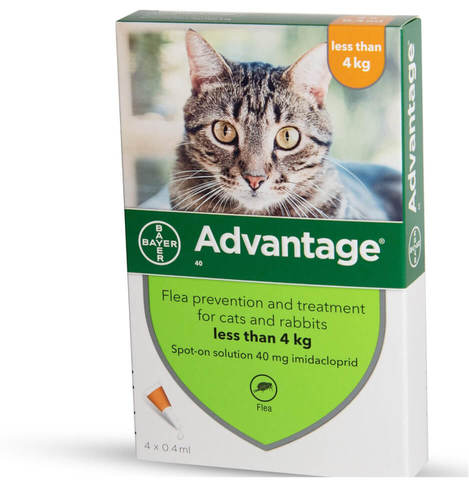 Advantage טיפות - טיפול בפרעושים וקרציות לחתולים