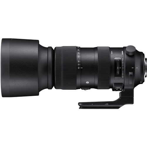 Sigma 60-600mm F4.5-6.3 DG OS HSM S רשמי