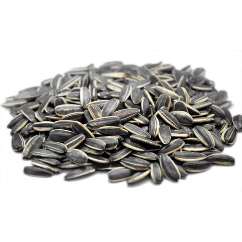 גרעיני חמניה אמריקאים בקליפה
