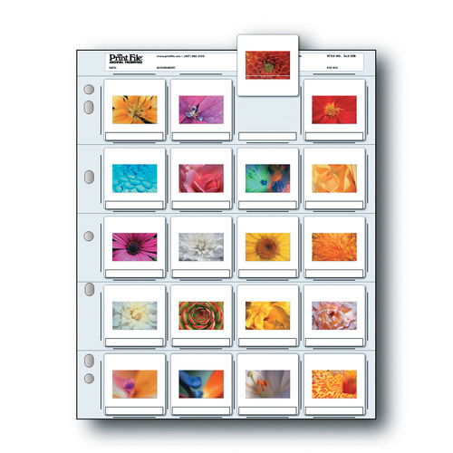  Print File Pocket (2x2