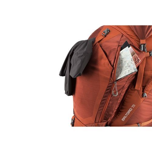 Gregory BALTORO 65