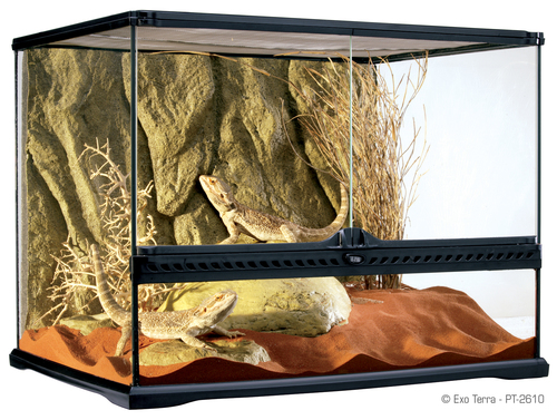 טרריום אקזוטרה רחב/בינוני 45*45*60 Natural Terrarium Medium/Wide PT2610
