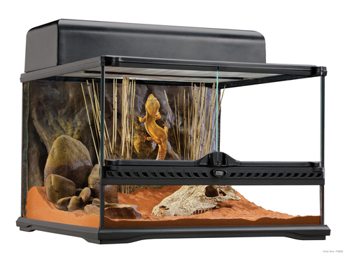 טרריום טבעי קטן נמוך לזוחלים 30*45*45 PT2603 Natural Terrarium Small/Low