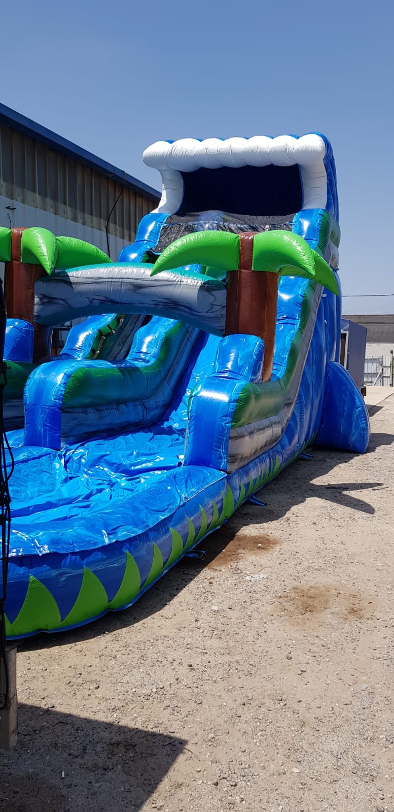 מגלשת דקלים גדולה