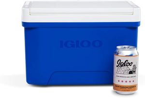 צידנית קשיחה קטנה לתרופות 9 ליטר איגלו IGLOO