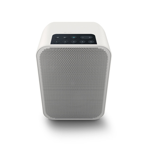 רמקול מולטירום PULSE FLEX 2i