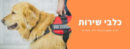 כלב שירות - עוזר נאמן ומיומן
