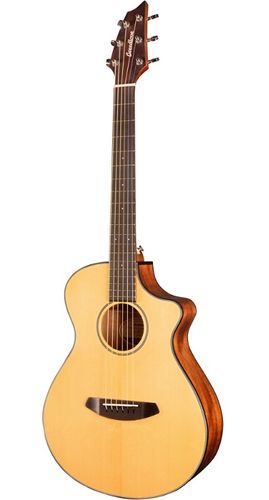 Breedlove Discovery Companion CE
